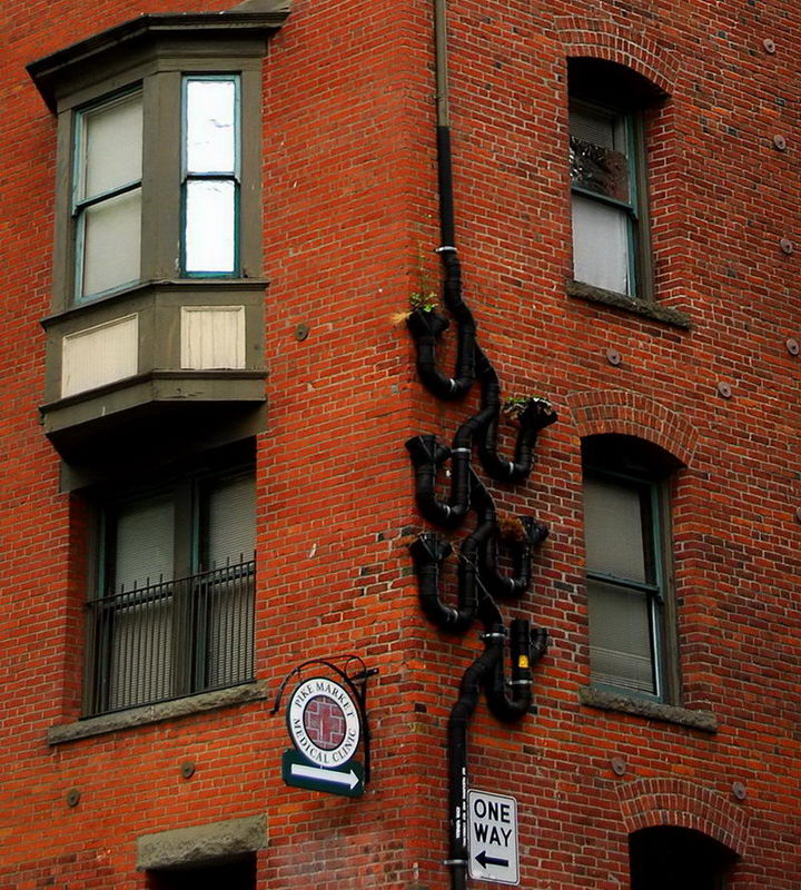 Fotografía por Inquisitive para DesignCrowd (Community Contests) | Diseño #8998125