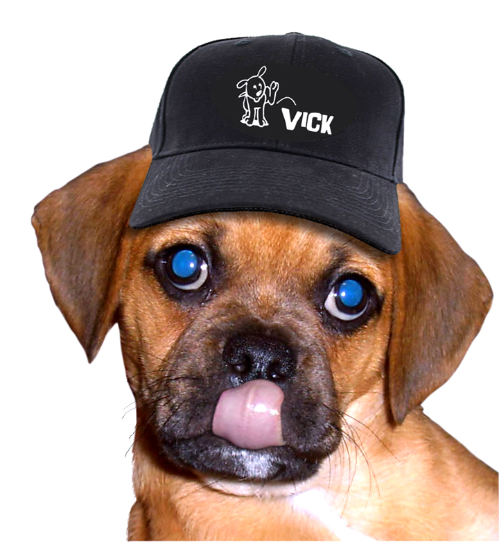 Photoshop Design by corwin1 for DesignCrowd (Community Contests) | Design #9004404