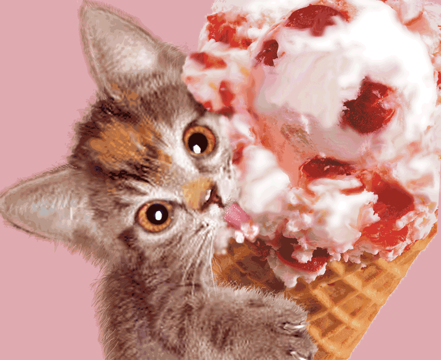 Photoshop Design by evalambert for DesignCrowd (Community Contests) | Design #9004472