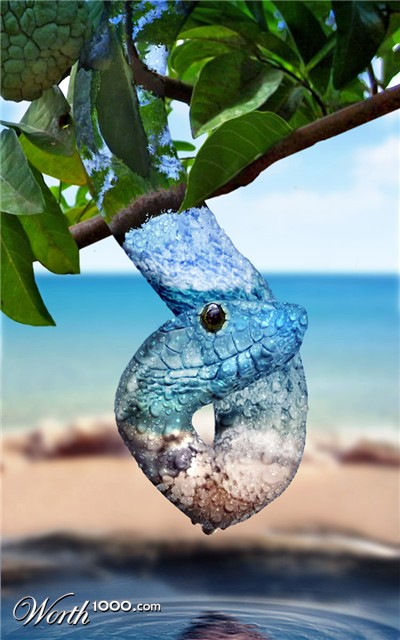 Photoshop Design by bpkelsey