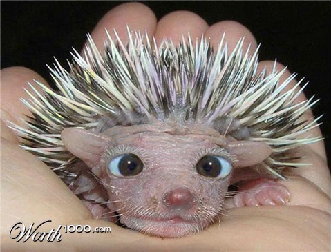 Photoshop Design by dosysod