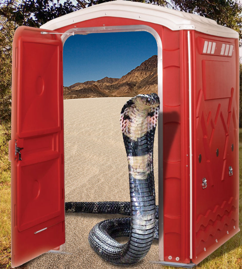 Photoshop Design by lordgilamesh for DesignCrowd (Community Contests) | Design #9001207