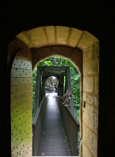 Photoshop Design by mibj2000 for DesignCrowd (Community Contests) | Design #9001213