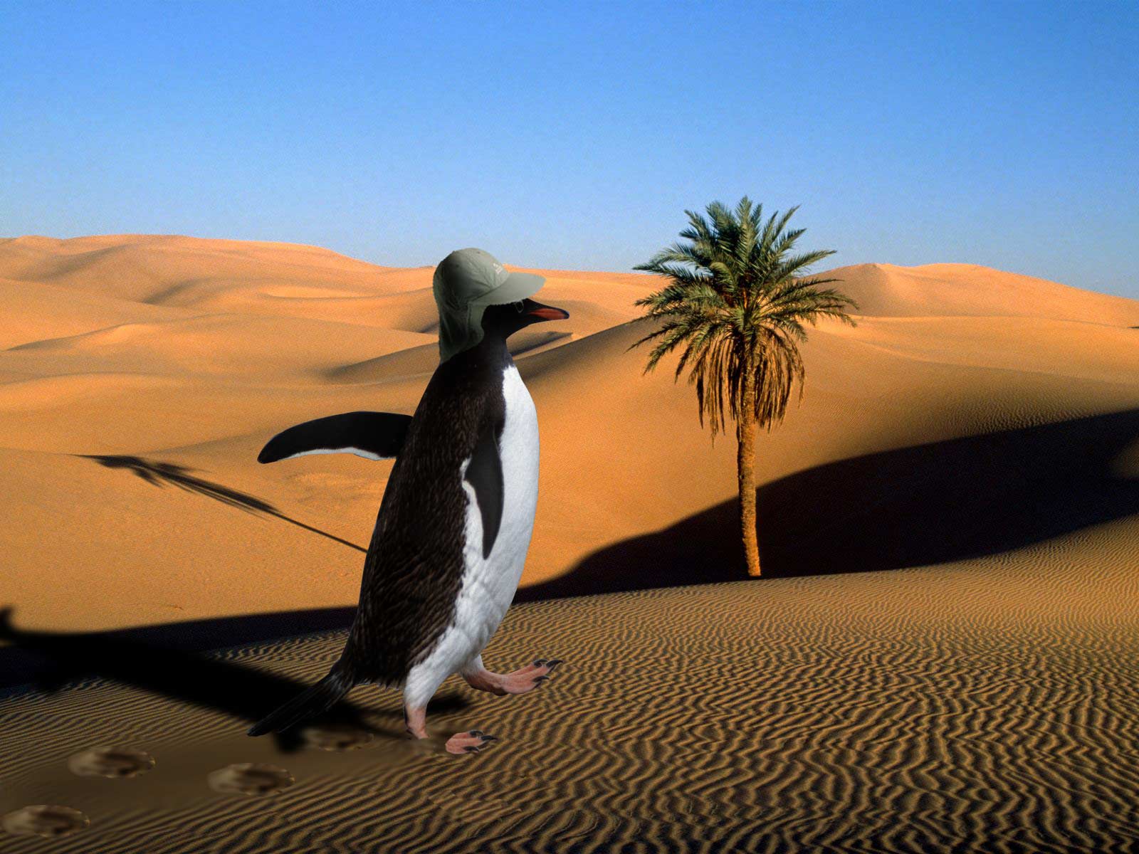 Photoshop-Design von Shyrath für DesignCrowd (Community Contests) | Design #9001195