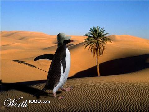 Photoshop Design by Shyrath