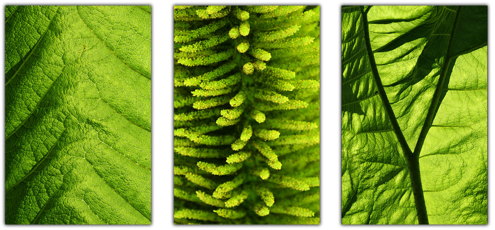 Photography by SigloV for DesignCrowd (Community Contests) | Design #9000695