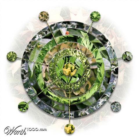 Photography by amiriuzo