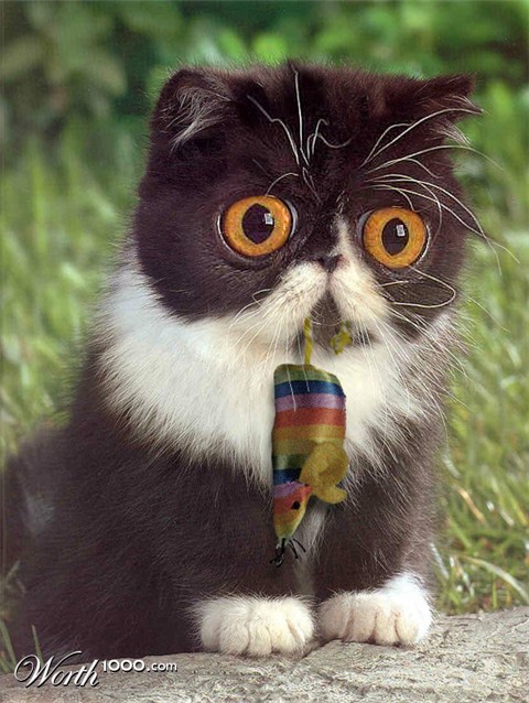 Photoshop Design by Sassydeb