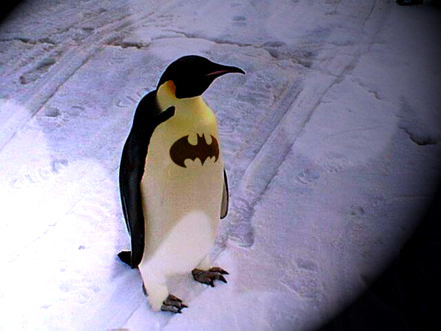 Photoshop Design by toni1234 for DesignCrowd (Community Contests) | Design #9001206