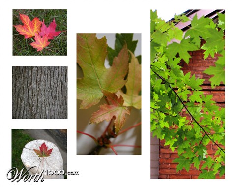 Photography by geenee