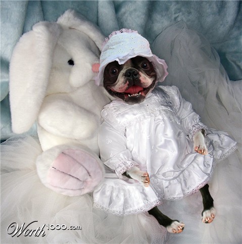 Photoshop Design by moovet