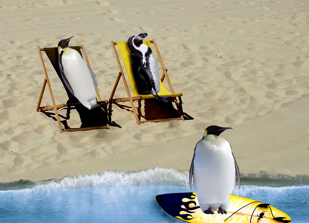 Photoshop Design by mibj2000 for DesignCrowd (Community Contests) | Design #9001260