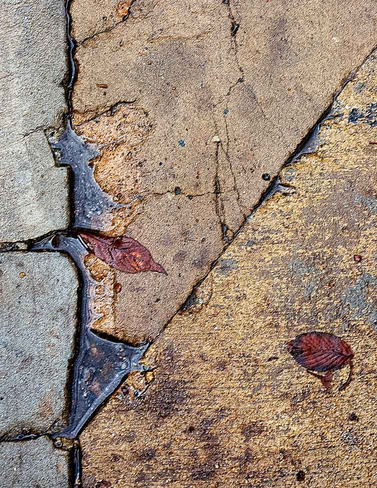 Fotografía por mare53 para DesignCrowd (Community Contests) | Diseño #8998145