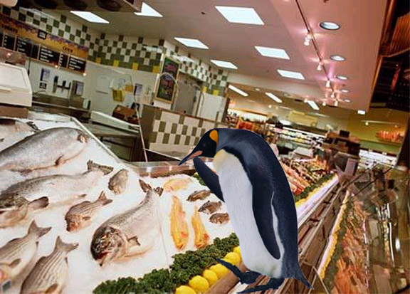 Photoshop Design by PeterAAAWelch for DesignCrowd (Community Contests) | Design #9001304