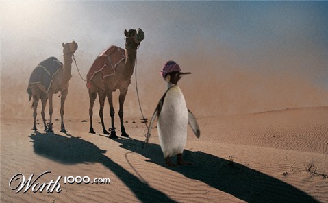 Photoshop Design by danx88