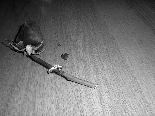 Photographie par bestpicturesever pour DesignCrowd (Community Contests) | Design #9000576