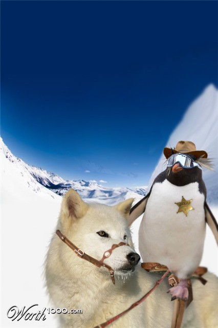 Photoshop Design by fredreis