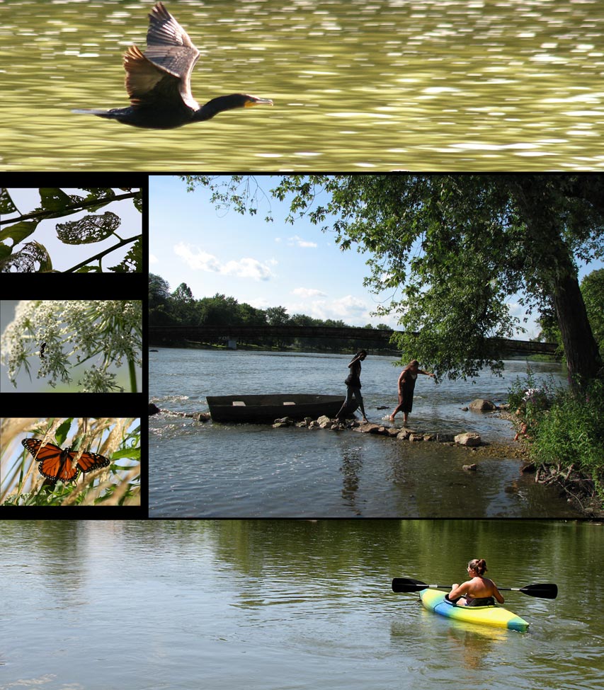 Photography by carpwoman for DesignCrowd (Community Contests) | Design #9000746