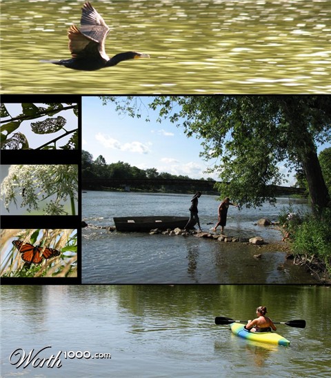 Photography by carpwoman