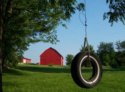 Photography by HyperZenGirl for DesignCrowd (Community Contests) | Design #9000572