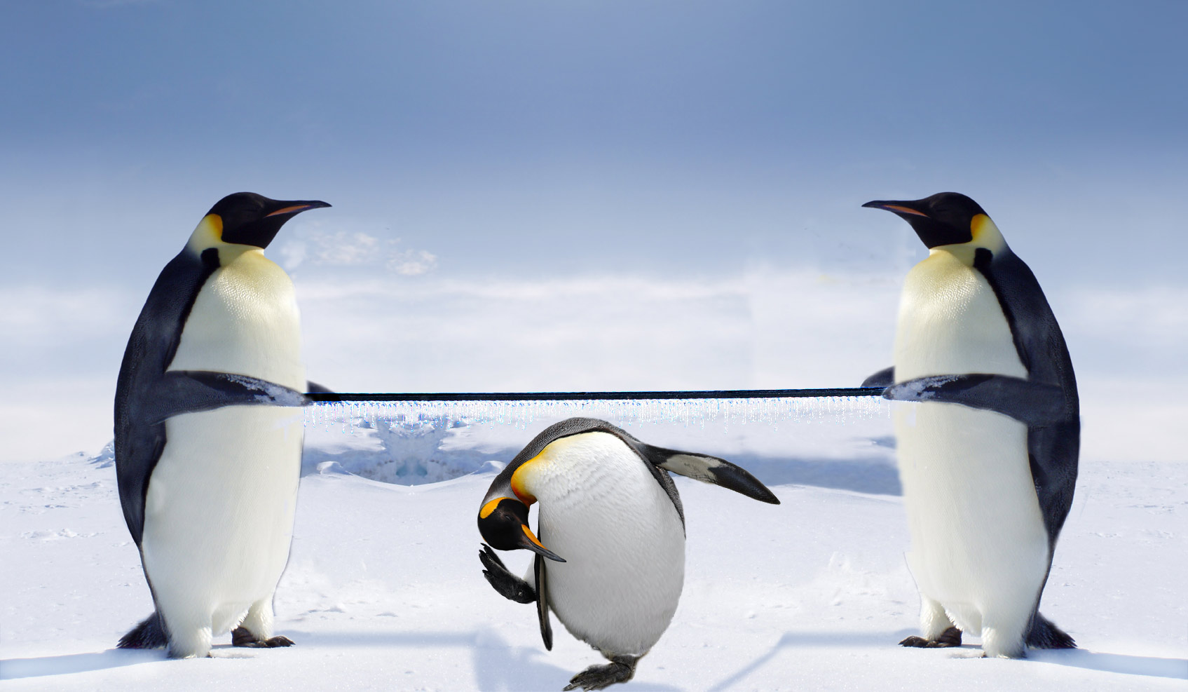 Photoshop Design by moovet for DesignCrowd (Community Contests) | Design #9001296