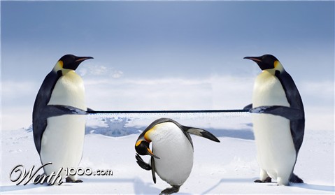 Photoshop Design by moovet