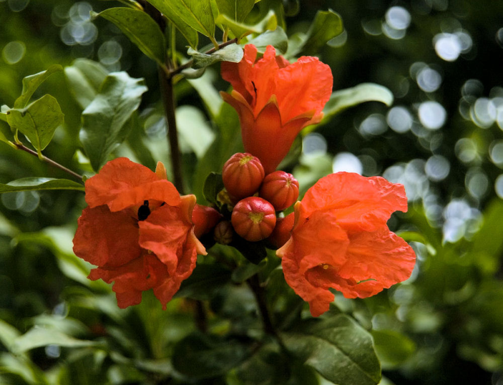 Photography by NatashaP for DesignCrowd (Community Contests) | Design #9000292