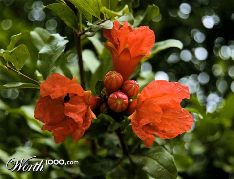 Photography by NatashaP