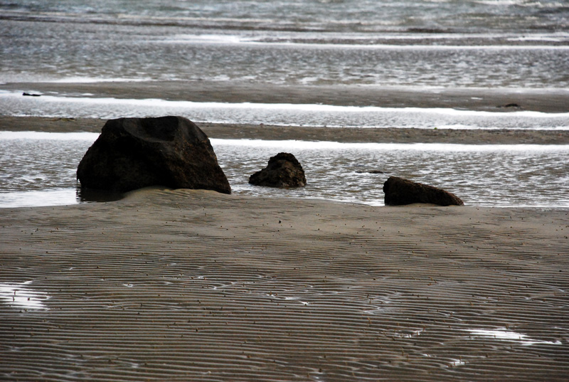 Photography by nzkiwi for DesignCrowd (Community Contests) | Design #9000294