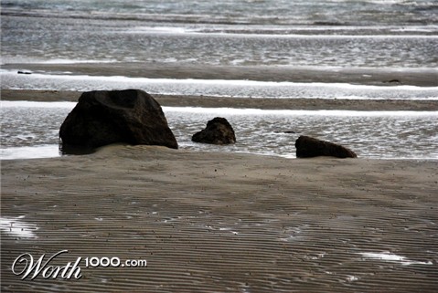 Photography by nzkiwi