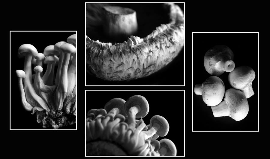 Fotografie von JillianRed für DesignCrowd (Community Contests) | Design #9000770