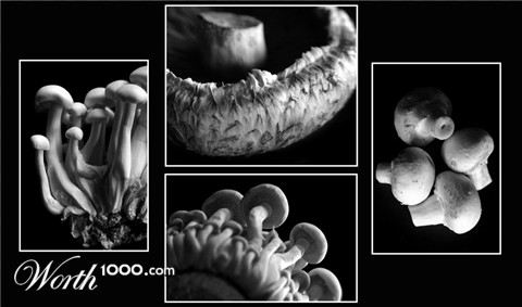 Photography by JillianRed