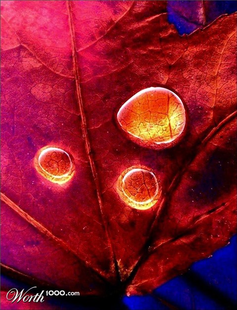 Photography by Isabella2006