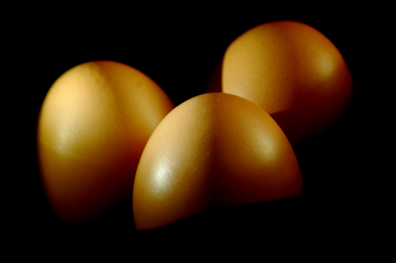 Photography by kalyangantait for DesignCrowd (Community Contests) | Design #9000327