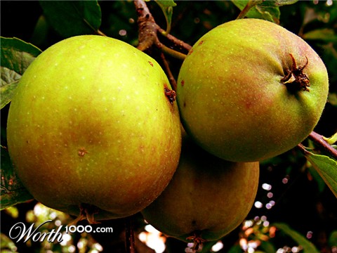 Photography by alicina