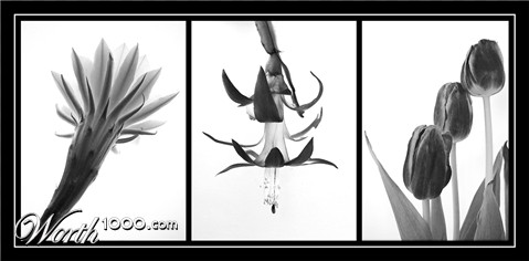 Photography by IsleofJura