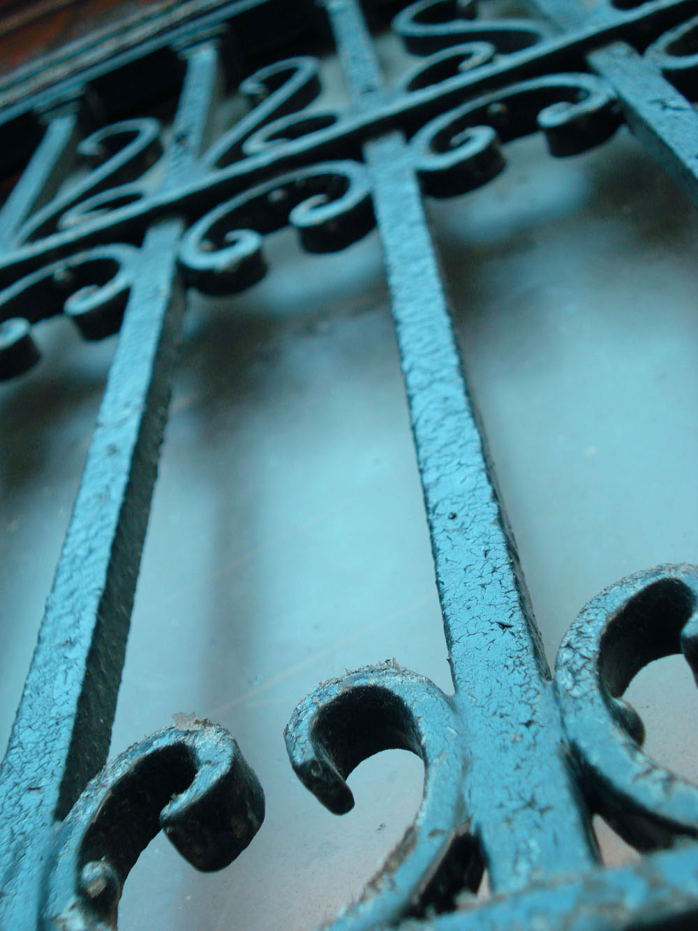 Photography by bennyandthemets for DesignCrowd (Community Contests) | Design #8998253