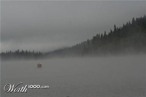 Photography by CookieMunster