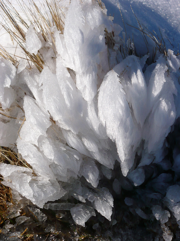 Photography by eccehobo for DesignCrowd (Community Contests) | Design #8998428