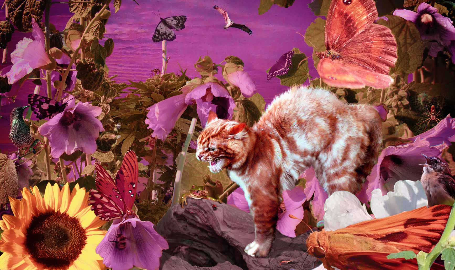 Photoshop Design by SuFfrnFrmR3ality for DesignCrowd (Community Contests) | Design #8999918