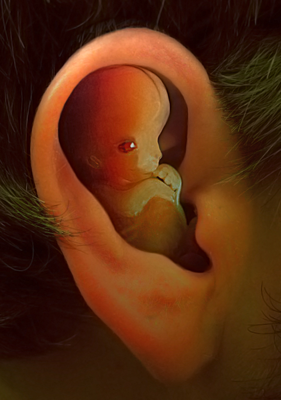 Photoshop Design by mzpresto for DesignCrowd (Community Contests) | Design #8999519