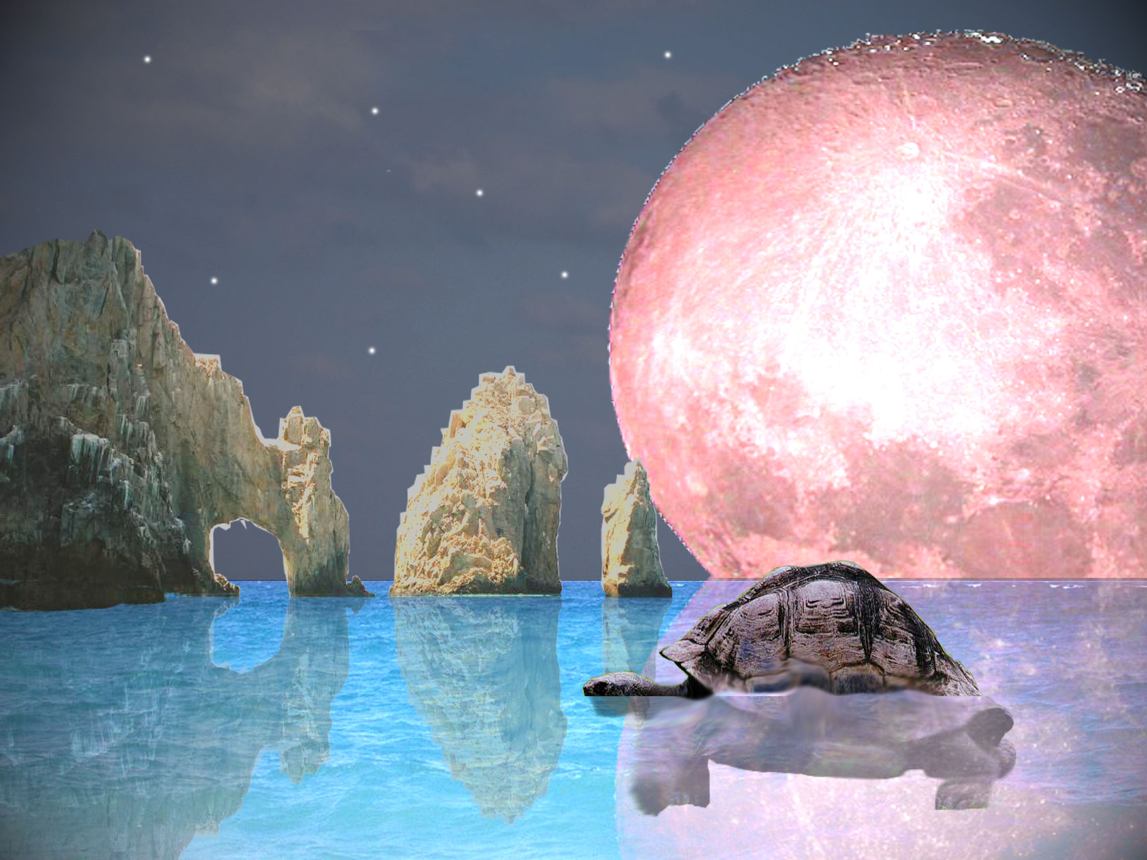 Diseño de Photoshop por MasterDice para DesignCrowd (Community Contests) | Diseño #8999949