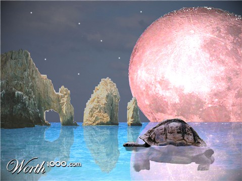 Photoshop Design by MasterDice