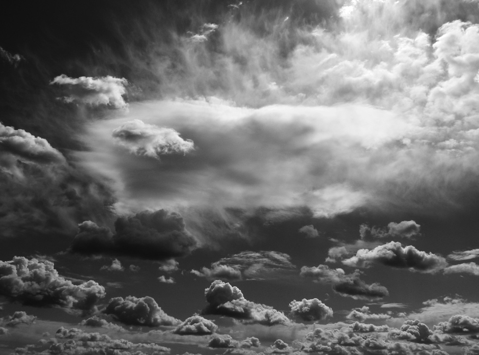 Photography by carpwoman for DesignCrowd (Community Contests) | Design #8998434