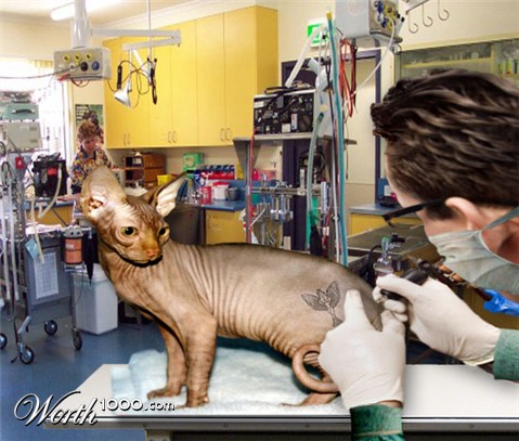 Photoshop Design by mibj2000