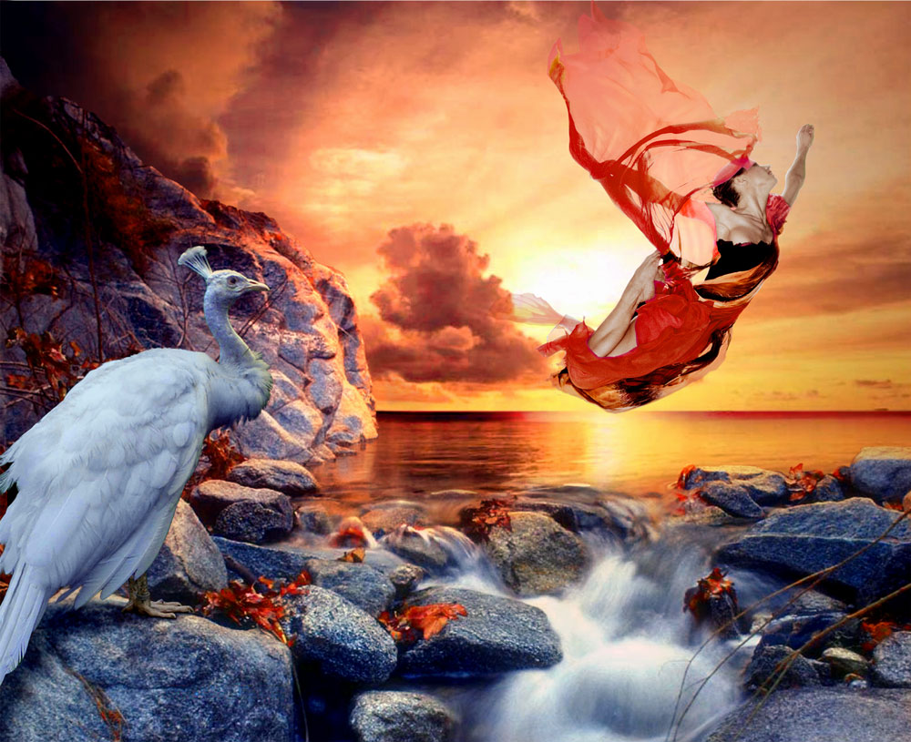 Photoshop Design by DutchPuh for DesignCrowd (Community Contests) | Design #8999976