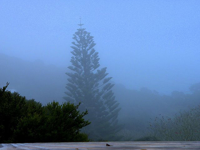 Photographie par Design UnStudio pour DesignCrowd (Community Contests) | Design #8998466