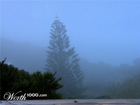 Photography by Design UnStudio