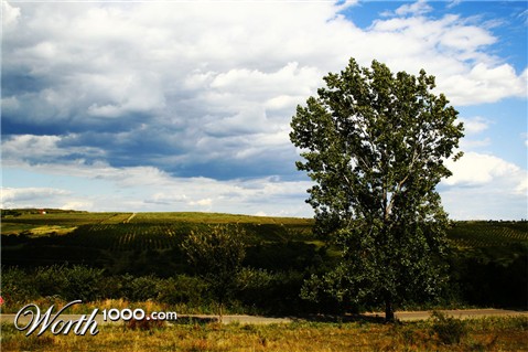 Photography by Seba86