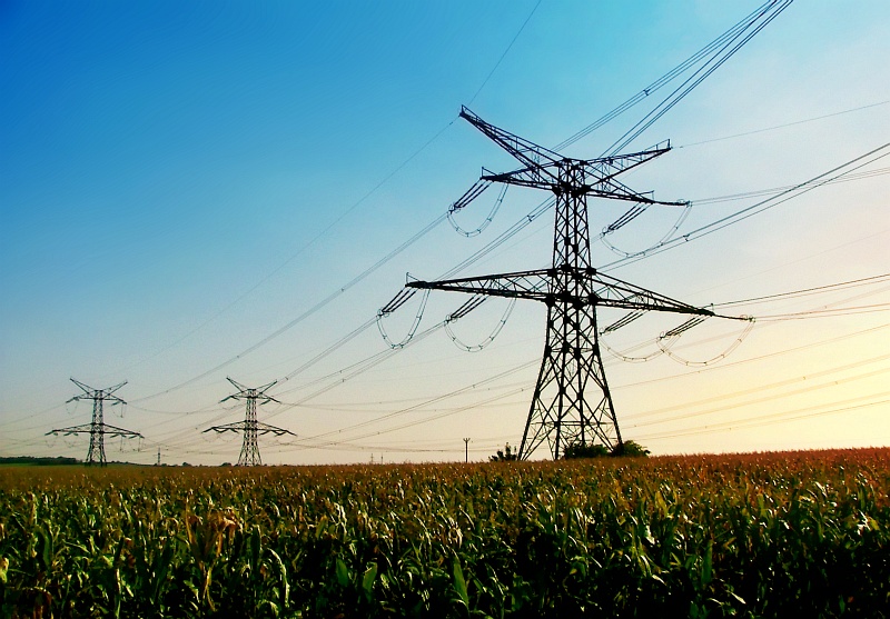 Photography by filipvalach for DesignCrowd (Community Contests) | Design #9000423